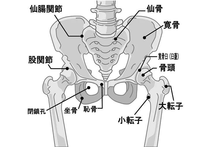 仙腸関節障害とは