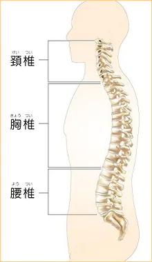 ぎっくり首の原因とは？