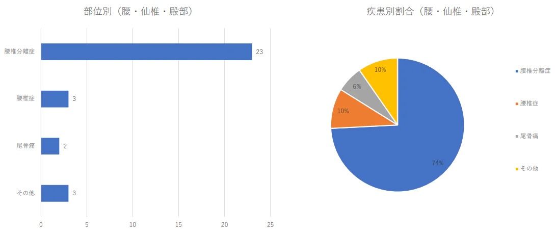 腰椎周囲の疾患別治療件数 2024年（1月から3月）及び割合
